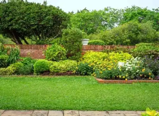 landscaping services Cinnamon Lake